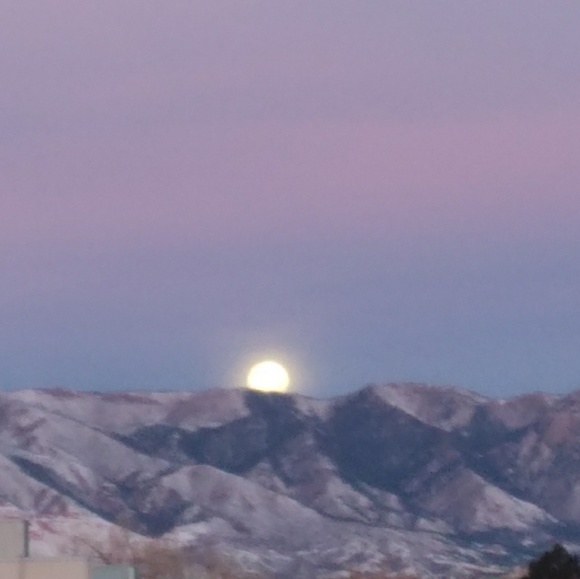 Meet your Posher, Chris - Picture 1 of 1